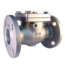 CI NRV Non Return Valve/Reflux Valve Flange End SS Working Parts (Wj-Neta)
